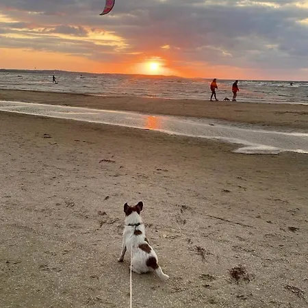 Park Albus 414 شقة