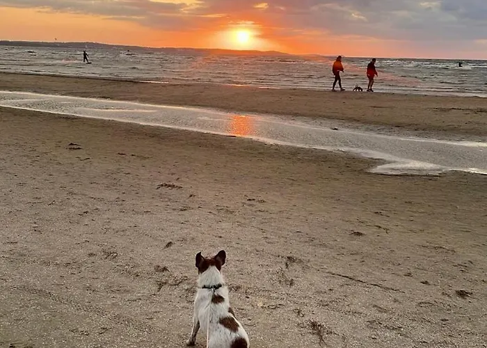 Park Albus 414 דירה